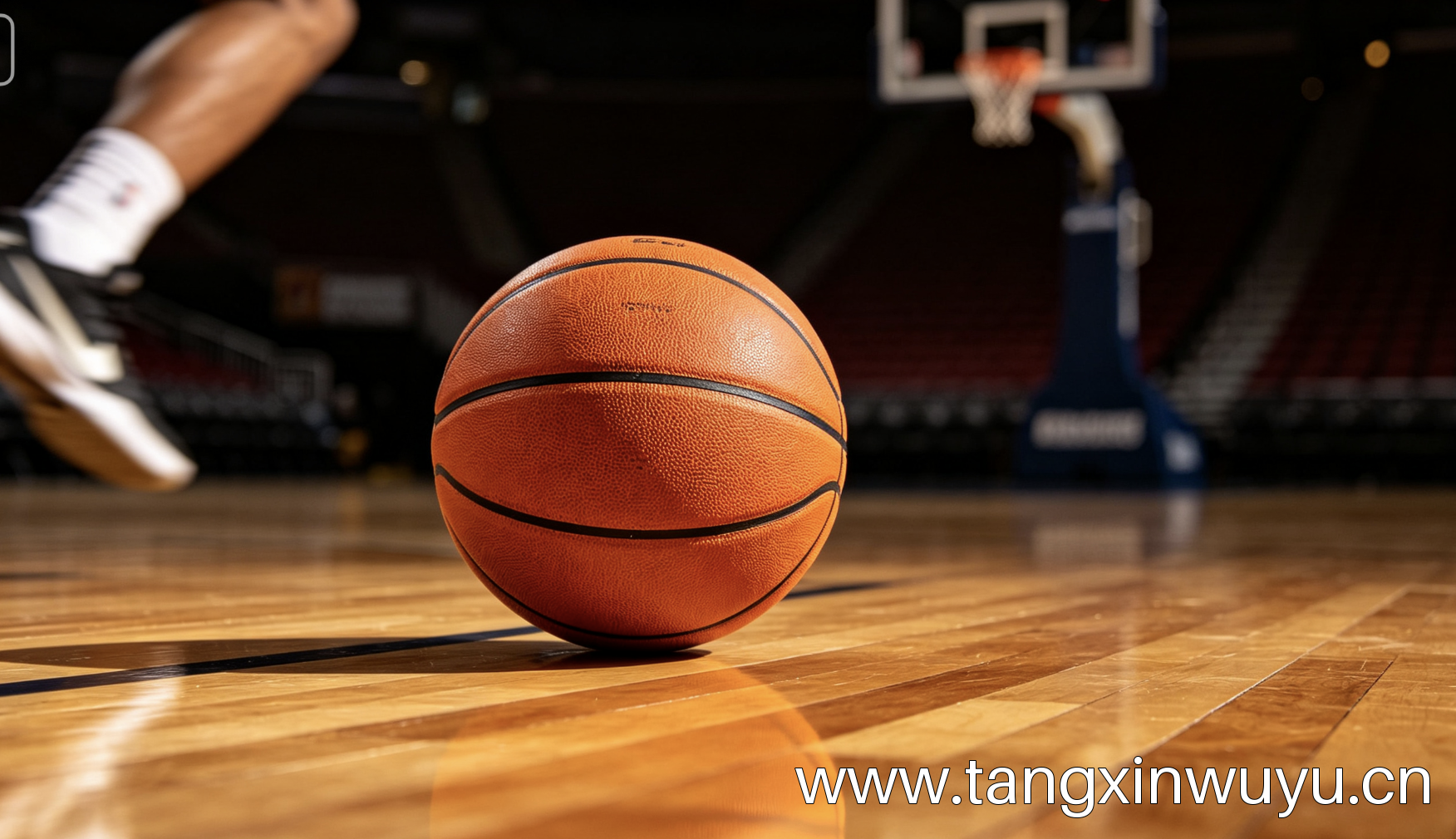 关于114NBA直播网